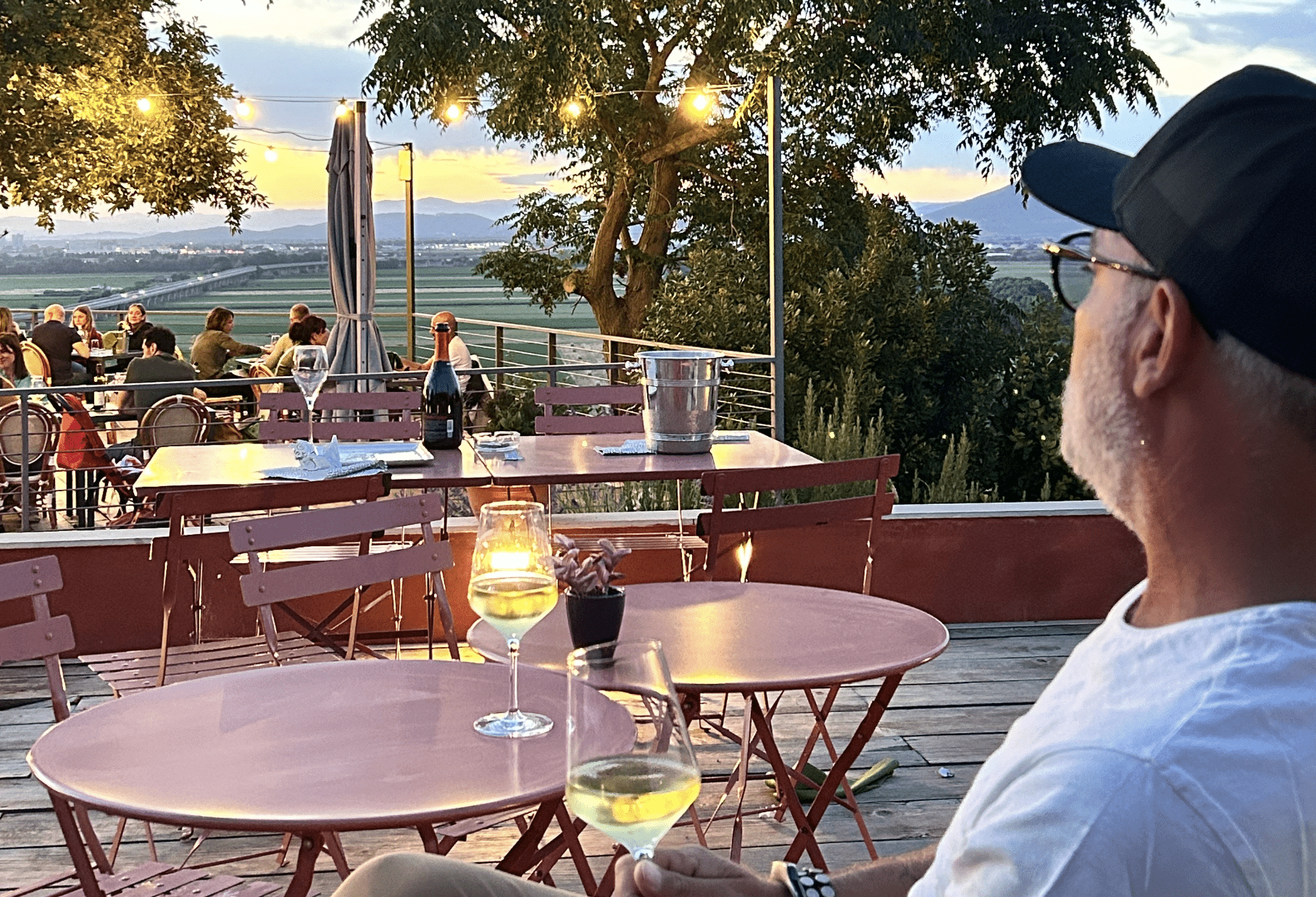 Ristorante Terre di Grancia | Degustazione - Vendita diretta vino e olio — foto 4