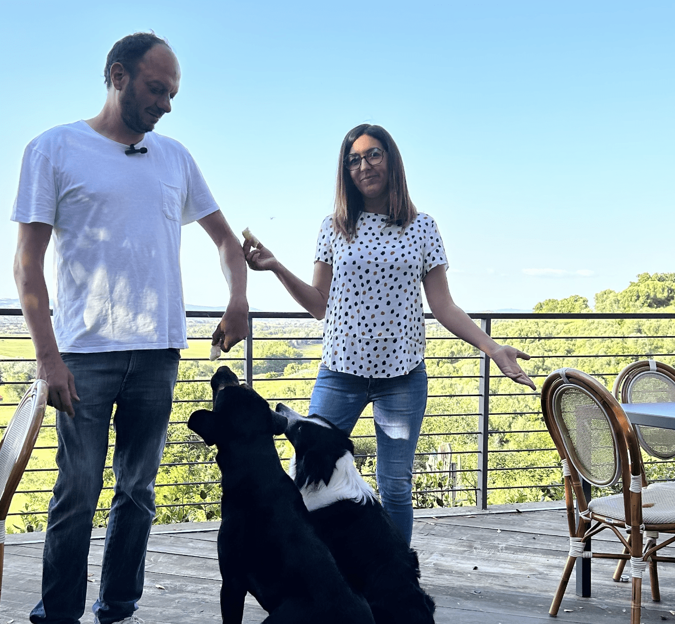 Ristorante Terre di Grancia | Degustazione - Vendita diretta vino e olio — foto 3
